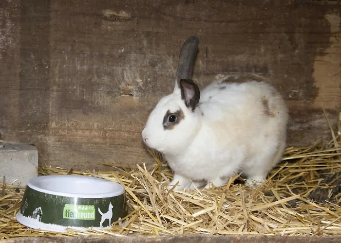 Bettmann Regional Einkaufen & Bauernhofurlaub 乡村民宿 *